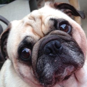 Meet your Posher, Debra